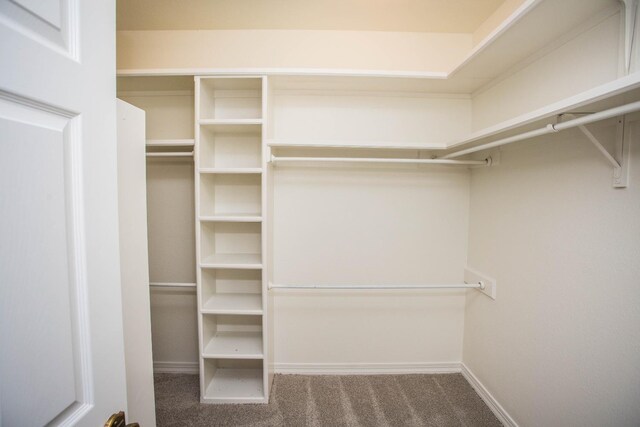 spacious closet with dark colored carpet