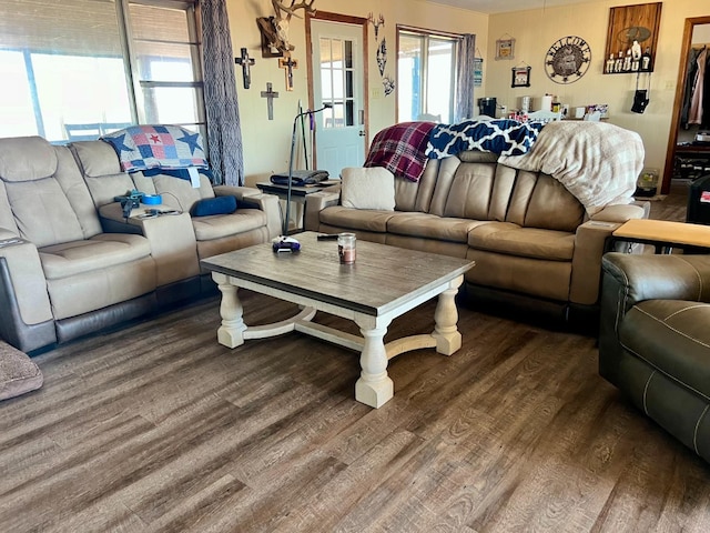 living room featuring dark wood-type flooring