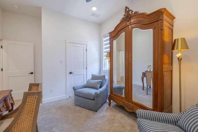 4234 Zadar Ave, Lubbock, TX 79407 - photo 60