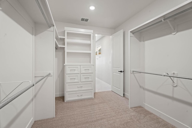 spacious closet with light colored carpet