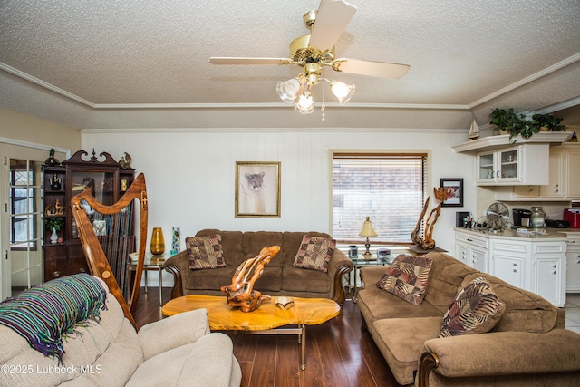 5008 59th St, Lubbock, TX 79414 - living room featuring a textured ceiling, ornamental molding, healthy amount of natural light, a ceiling fan, and wood finished floors