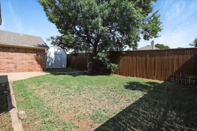 view of yard with a storage shed