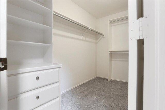 walk in closet with carpet