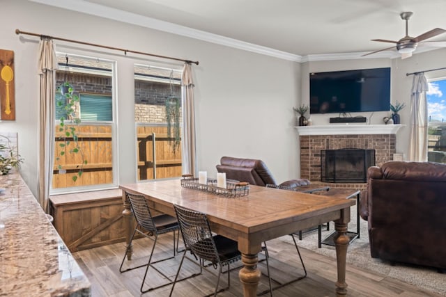 dining area with crown molding, a fireplace, ceiling fan, and light wood-type flooring