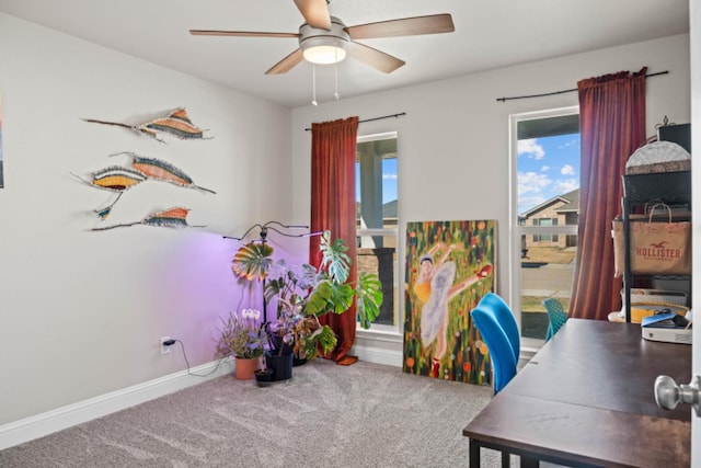 carpeted office featuring ceiling fan