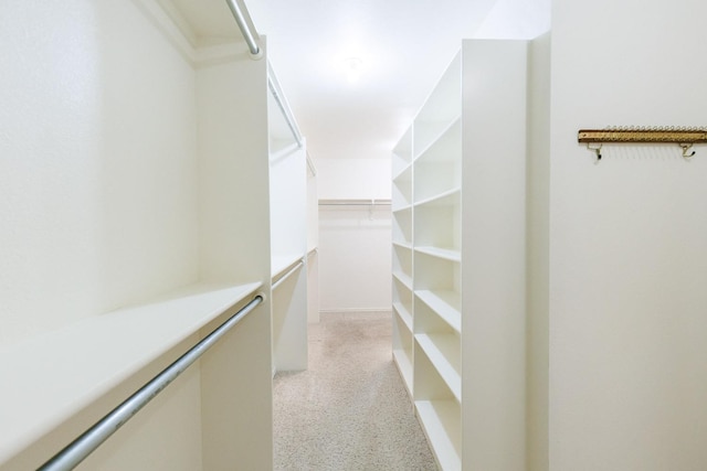 walk in closet with light carpet