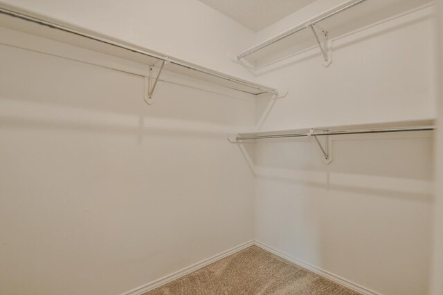 spacious closet with carpet