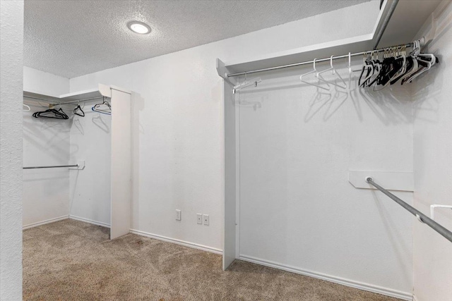 walk in closet featuring carpet floors