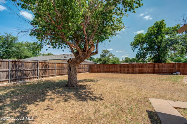 5320 25th St, Lubbock, TX 79407 - view of yard