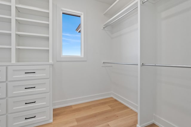 spacious closet featuring light wood-type flooring