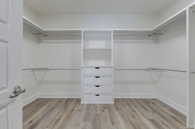 walk in closet with light wood-type flooring