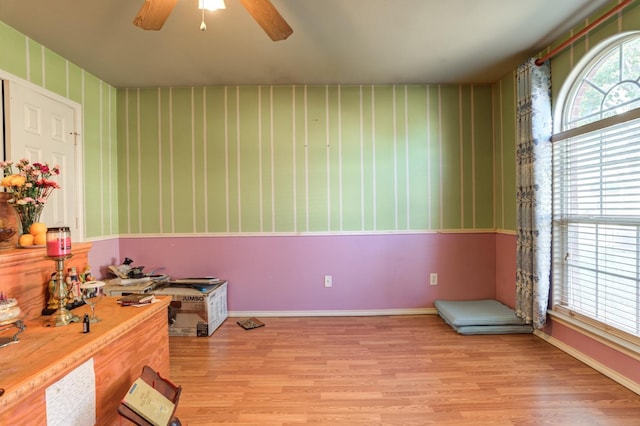 office space featuring ceiling fan, a wealth of natural light, and light hardwood / wood-style floors