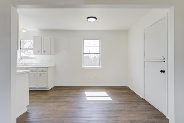 unfurnished dining area featuring dark wood-style floors, a healthy amount of sunlight, a sink, and baseboards