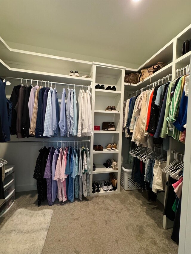 walk in closet with carpet