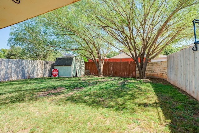 view of yard with a storage unit