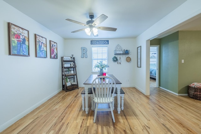 dining area featuring ceiling fan and light hardwood / wood-style floors