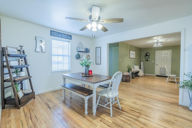 dining room with light hardwood / wood-style floors and ceiling fan