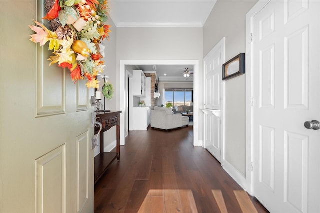 hall with crown molding and dark hardwood / wood-style floors