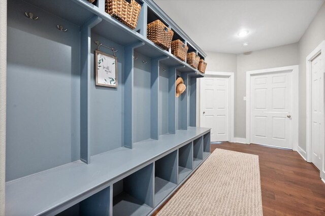 mudroom featuring dark hardwood / wood-style floors