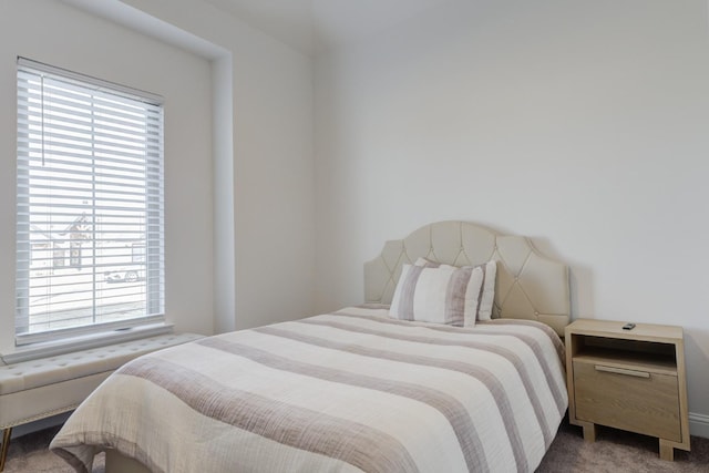 carpeted bedroom featuring multiple windows