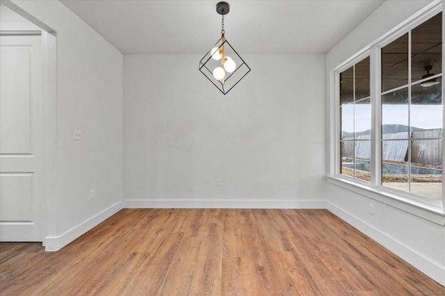 unfurnished dining area featuring wood-type flooring