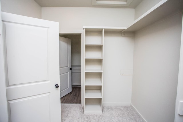 spacious closet with light carpet