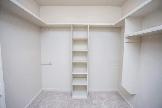 spacious closet featuring light carpet