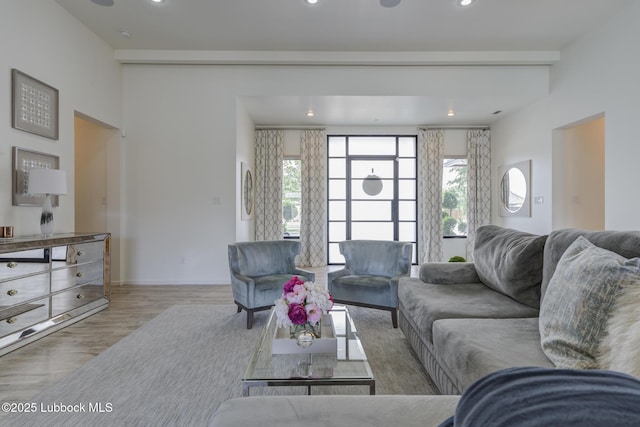 11604 Uxbridge Ave, Lubbock, TX 79424 - living room featuring wood finished floors and recessed lighting