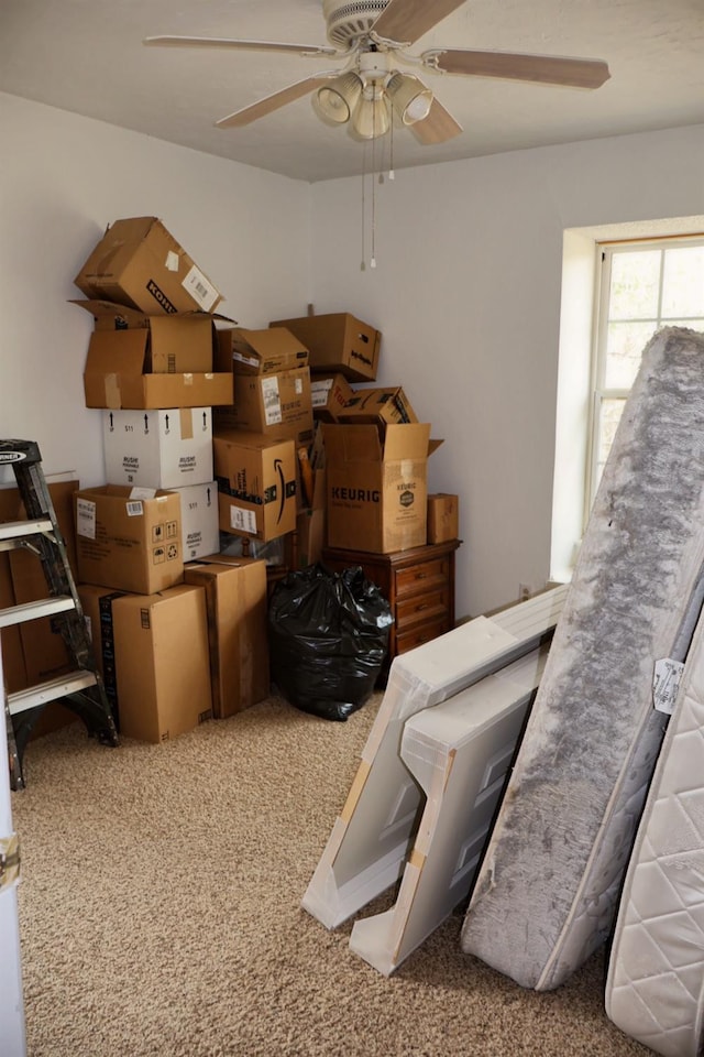 storage area featuring ceiling fan