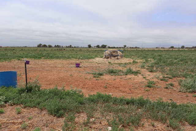 view of yard featuring a rural view