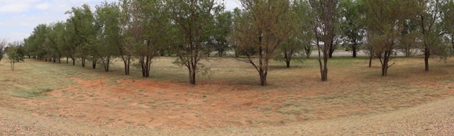 view of nature with a rural view