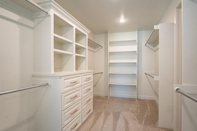 spacious closet featuring light colored carpet