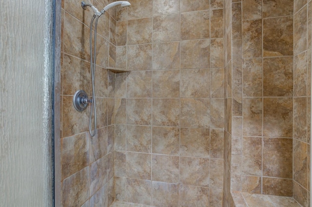 room details with tiled shower