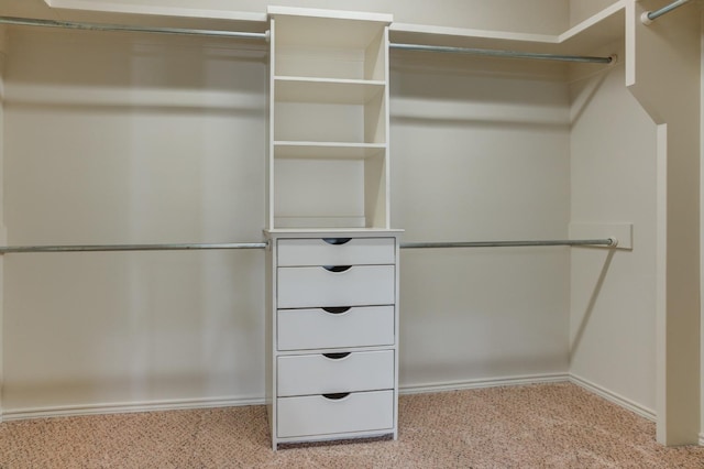 walk in closet with light colored carpet