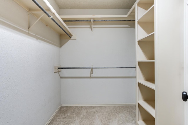 walk in closet with carpet floors