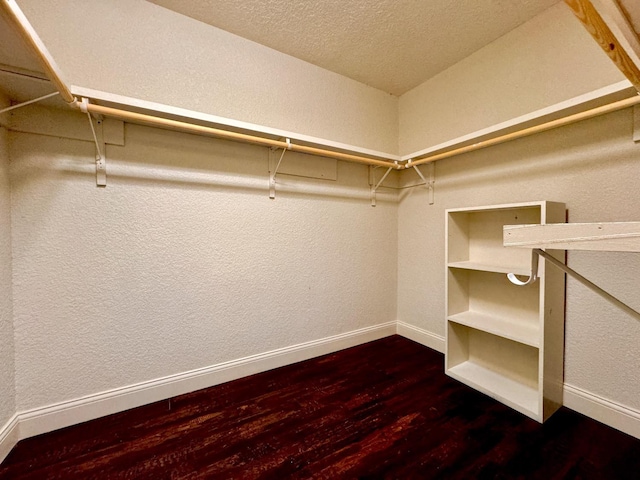 spacious closet with wood-type flooring