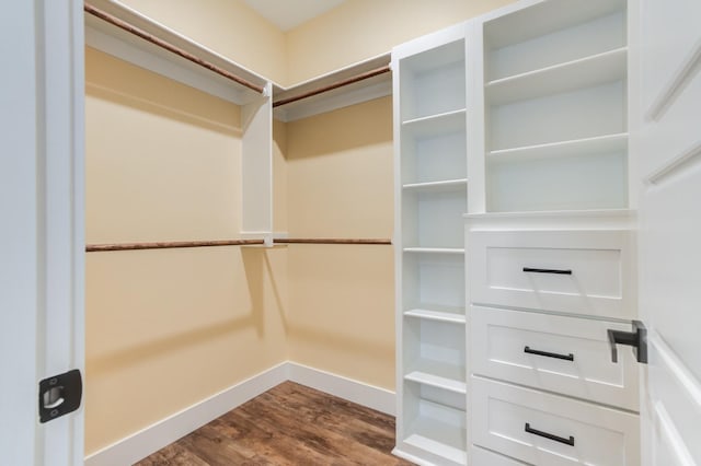 walk in closet featuring hardwood / wood-style flooring