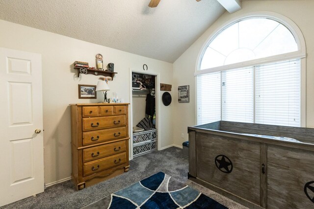 9613 Vicksburg Ave, Lubbock, TX 79424 - bedroom with lofted ceiling, dark colored carpet, a closet, and a ceiling fan