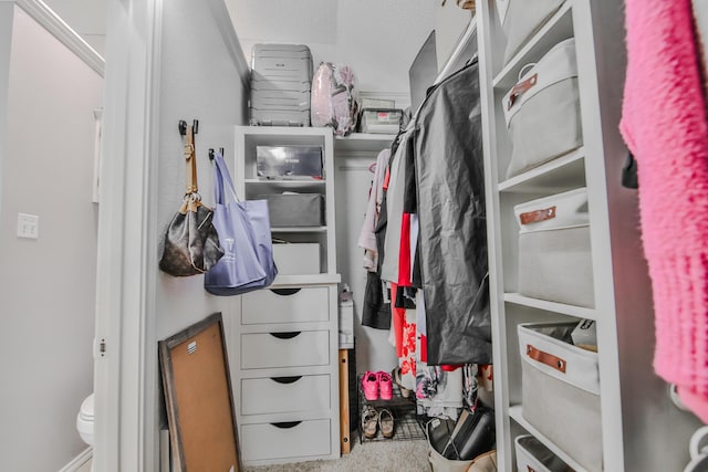 view of spacious closet