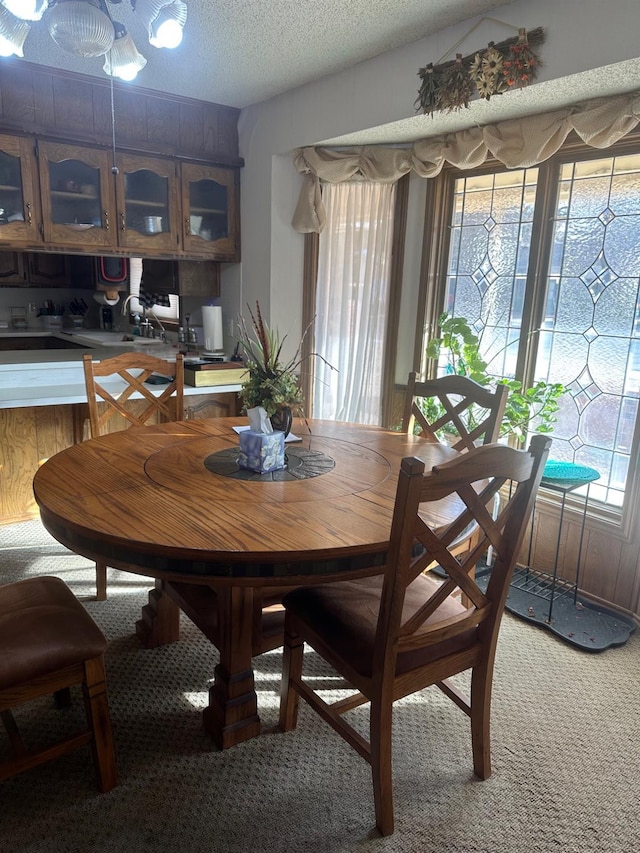 dining space with sink and a textured ceiling