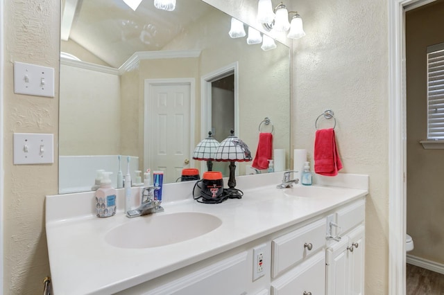 bathroom with vanity, vaulted ceiling, and toilet