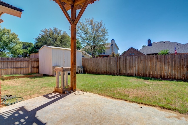 view of yard featuring a patio and a storage unit