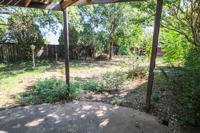 view of yard featuring a patio