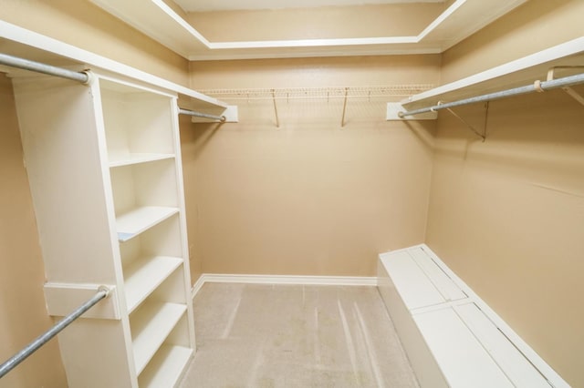 spacious closet featuring light carpet