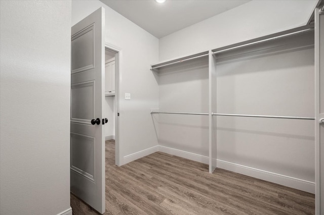 spacious closet featuring hardwood / wood-style floors