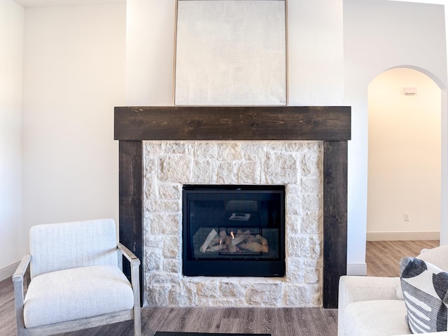 room details with a stone fireplace and hardwood / wood-style flooring