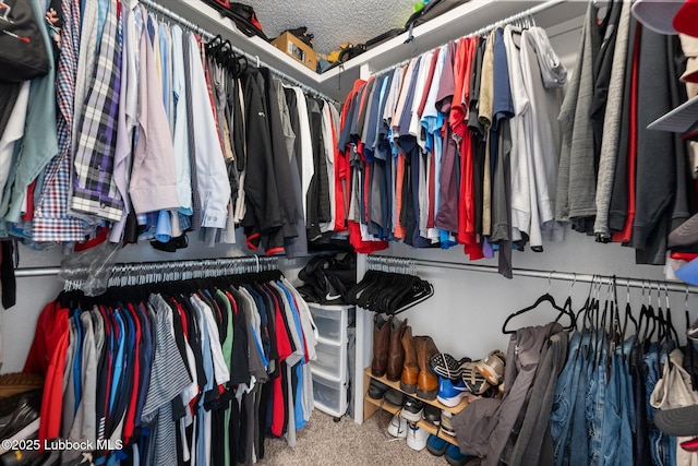 1507 Nottingham Ave, Wolfforth, TX 79382 - walk in closet with carpet flooring