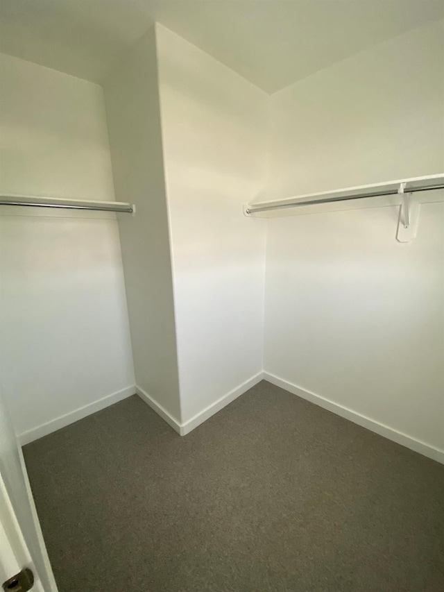 walk in closet featuring dark colored carpet