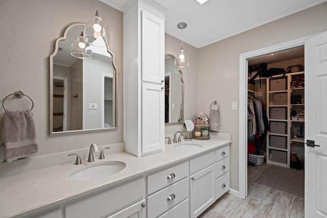 bathroom featuring ornamental molding, vanity, and hardwood / wood-style floors