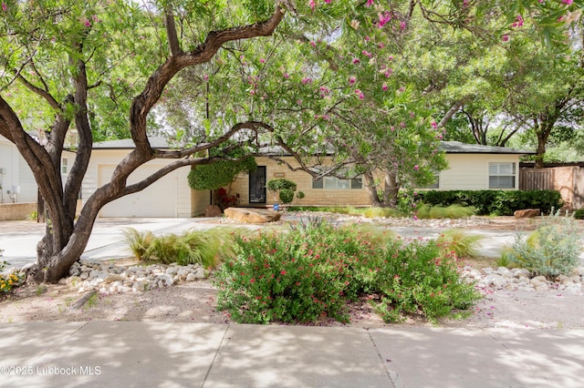 3014 25th St, Lubbock, TX 79410 - view of property hidden behind natural elements featuring an attached garage and driveway